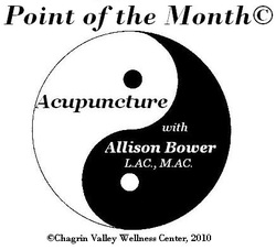 Acupuncture Videos